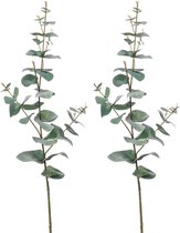 Kunstplant Eucalyptus - 2x - groen - takken - hangplant - 68 cm