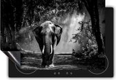 Chefcare Inductie Beschermer Olifant in het Bos - Zwart Wit - 91,2x52 cm - Afdekplaat Inductie - Kookplaat Beschermer - Inductie Mat