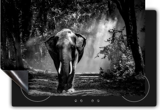 Chefcare Inductie Beschermer Olifant in het Bos - Zwart Wit - 91,2x52 cm - Afdekplaat Inductie - Kookplaat Beschermer - Inductie Mat