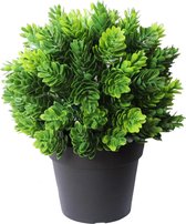 Kunstplant Conifeer in pot 19 cm UV