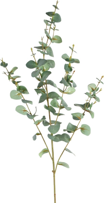 Greenmoods Kunstplanten - Kunstplant - Eucalyptus - Zijde - 96 cm