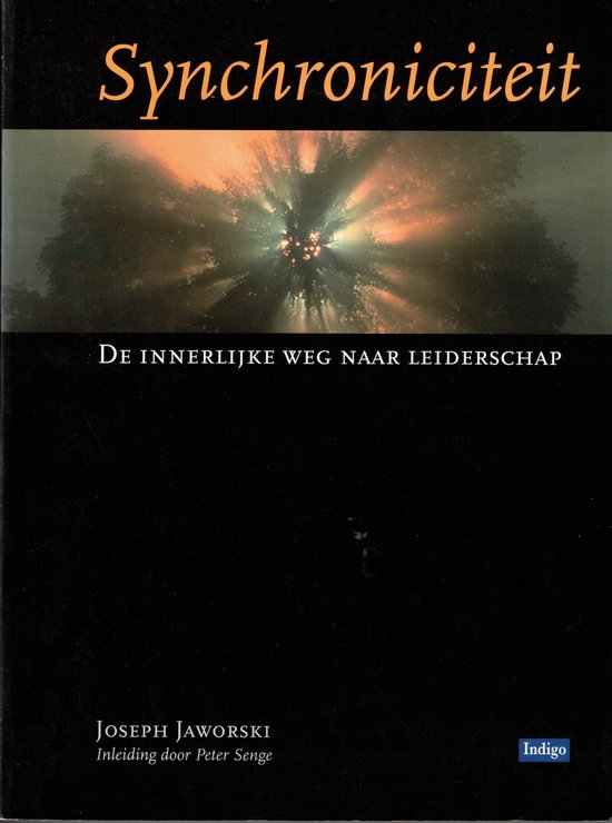 Synchroniciteit