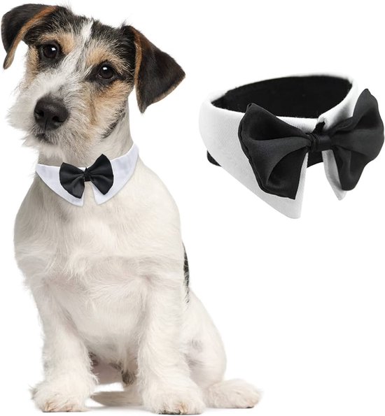 Noeud pour chien de Luxe avec bordure blanche et noeud noir taille L - chien - noeud noir - animal de compagnie - accessoire pour chien noeud papillon