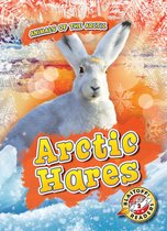 Animals of the Arctic - Arctic Hares