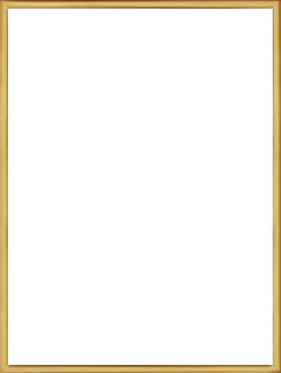 Homedecoration Almelo – Fotolijst – Fotomaat – 36 x 95 cm – Vintage Goud