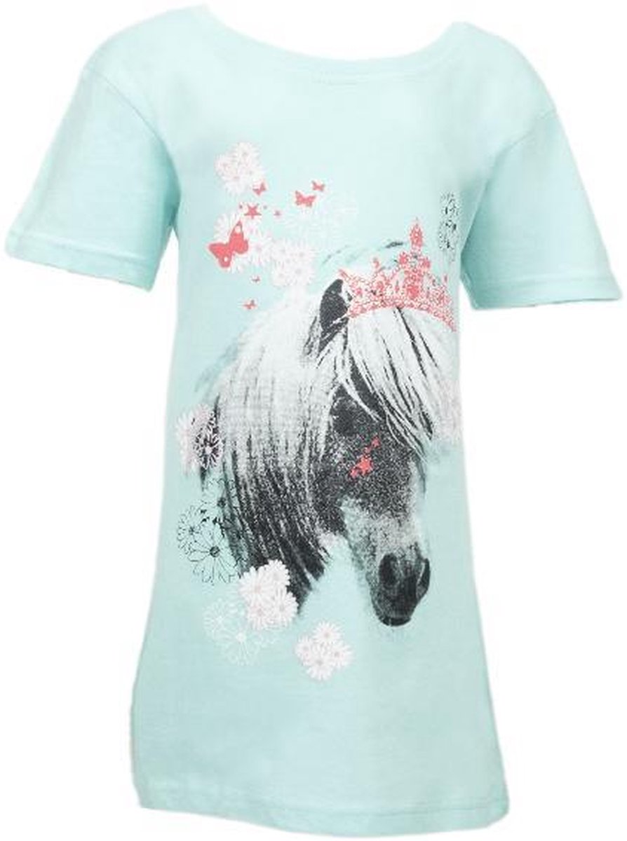 Anouk Michaela Paarden Bigshirt Mint maat 92