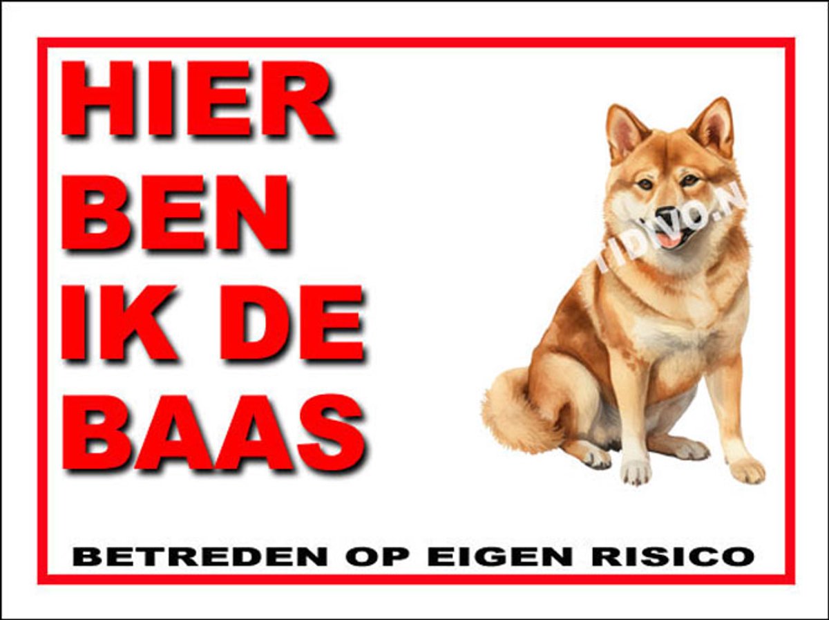 Shiba 2