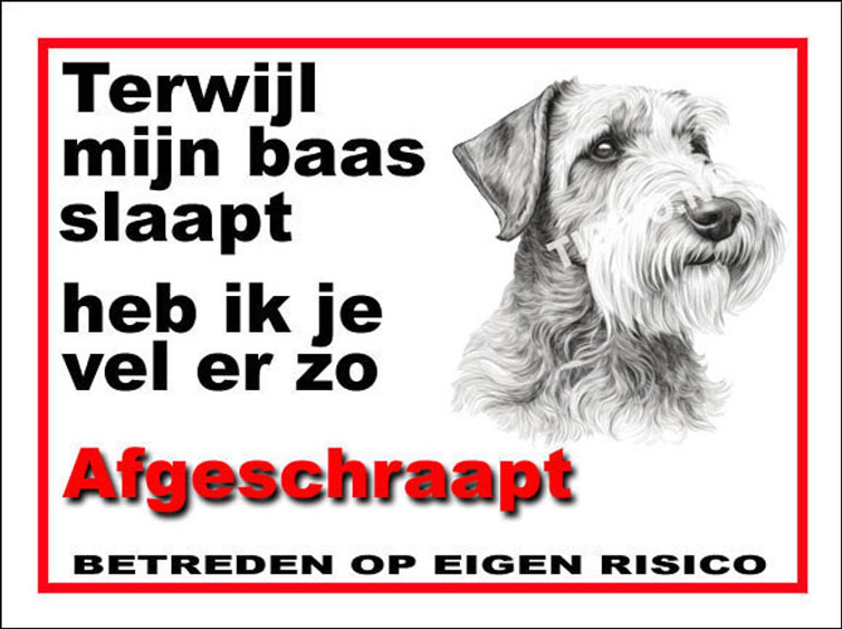 Sealyham Terrier 15