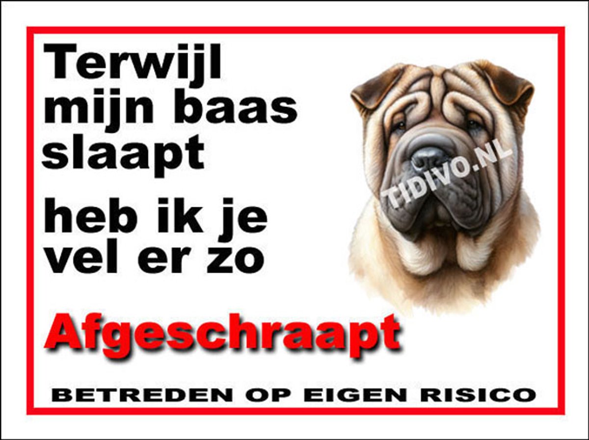 Shar-Pei 15