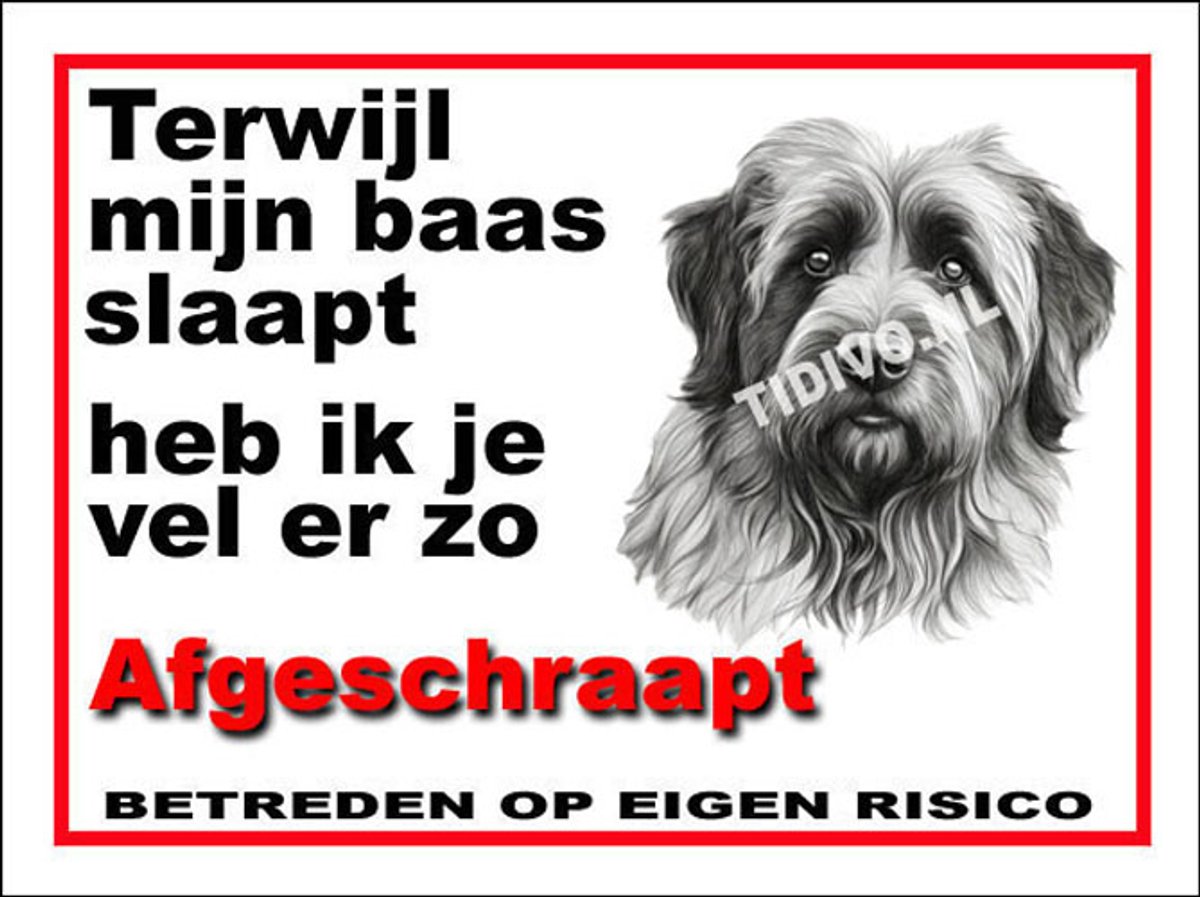 Pyreneese Herdershond 15