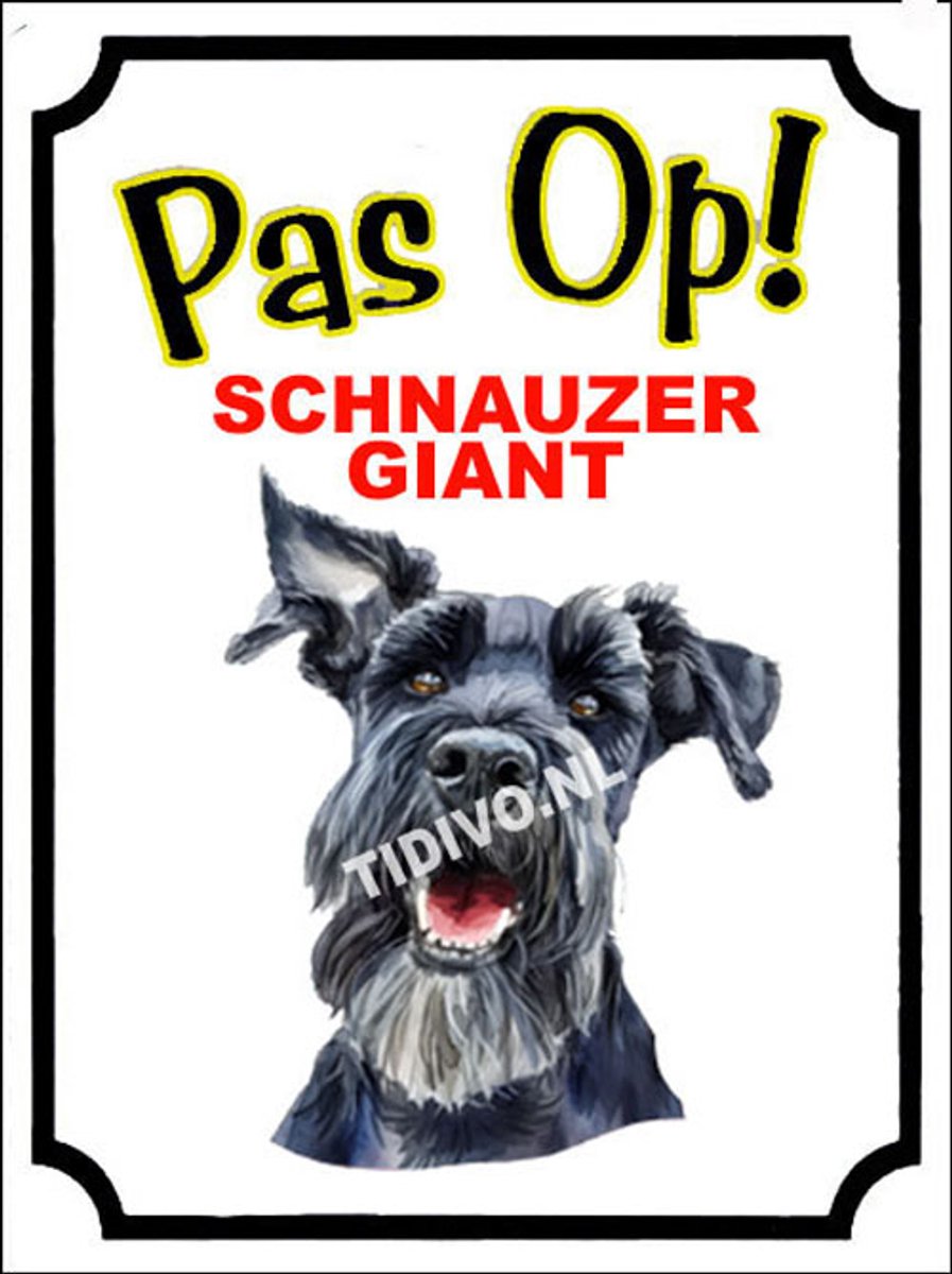 Schnauzer Giant 16
