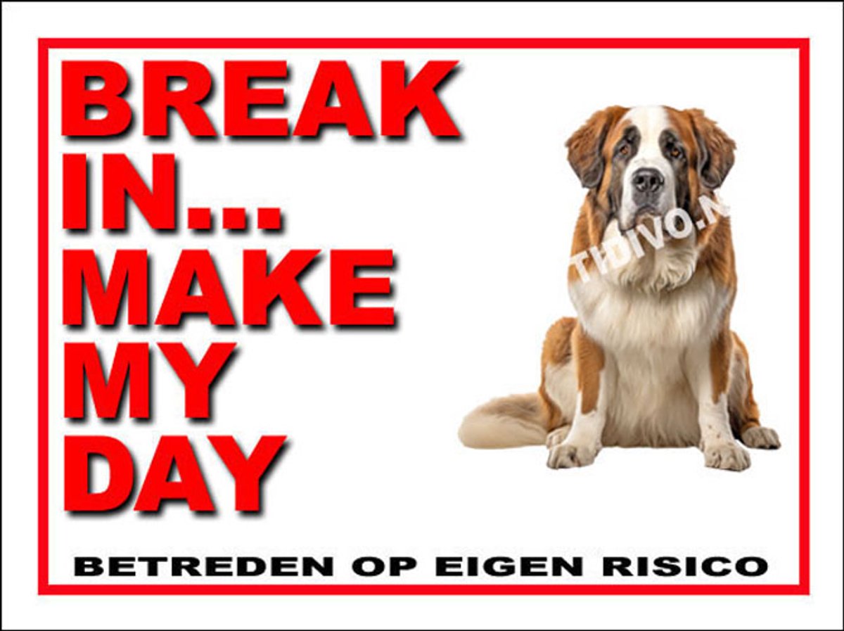 Sint Bernard 1
