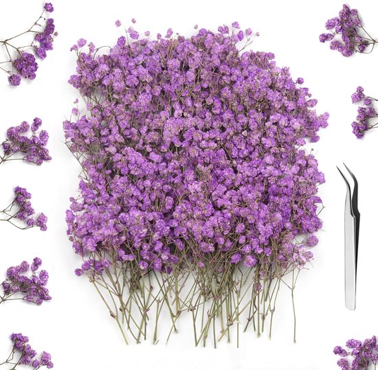 Foto: Pack of 120 dried gypsophila flowers decoratieve gedroogde bloemen resin boekenleggers wenskaarten handwerken