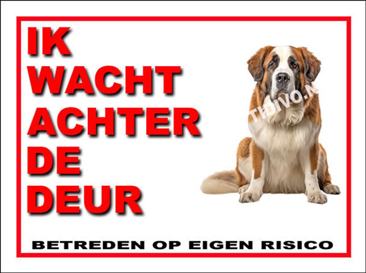 Sint Bernard 10