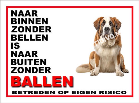 Sint Bernard 11