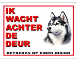 foto van Siberian Husky 10