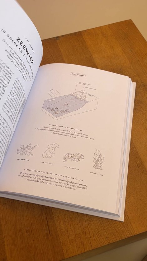 Kleine atlas voor hedonisten - Bretagne