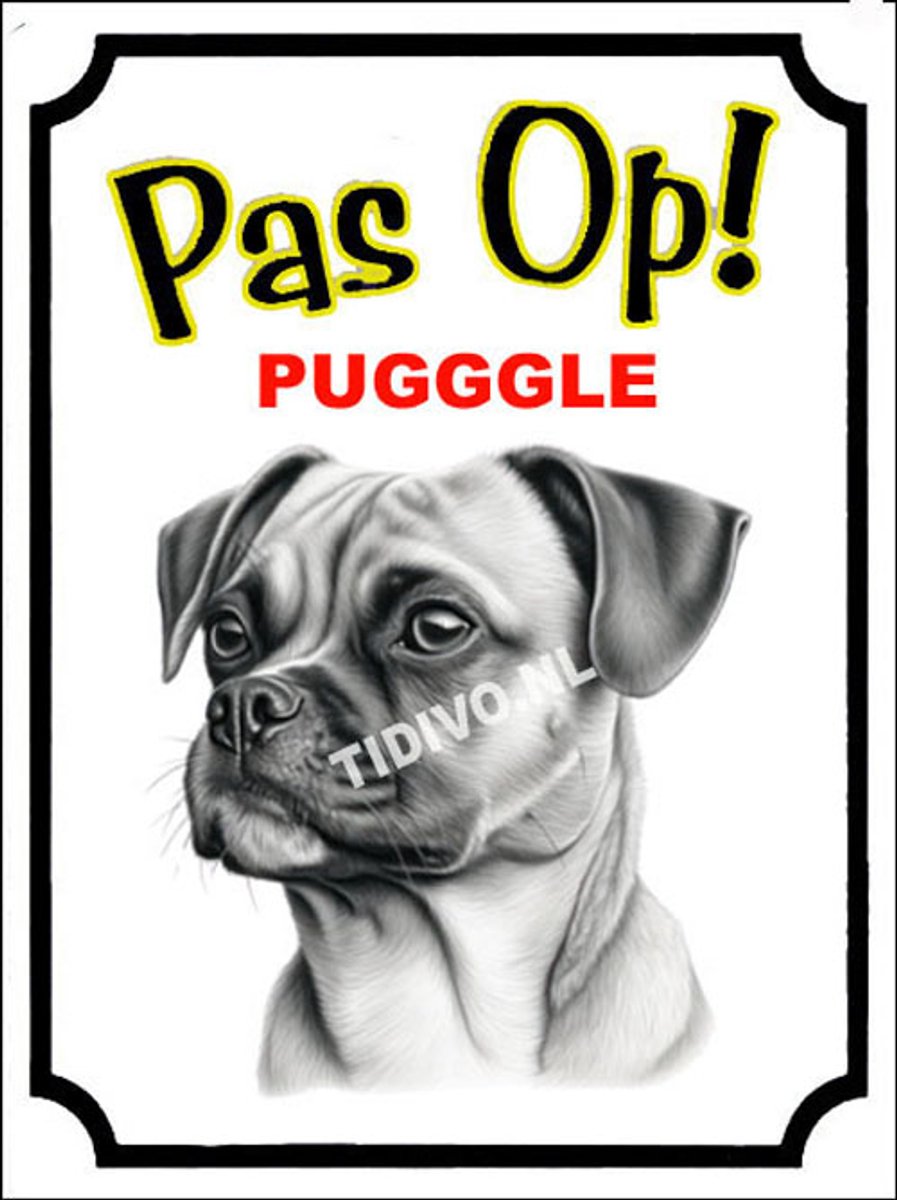Puggle 16