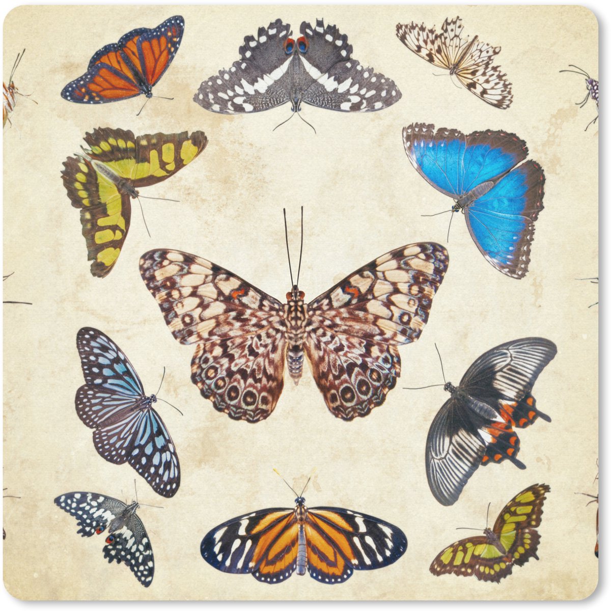 Muismat 20x20 cm - Mousepad Botanische print vlinders - Muismatten