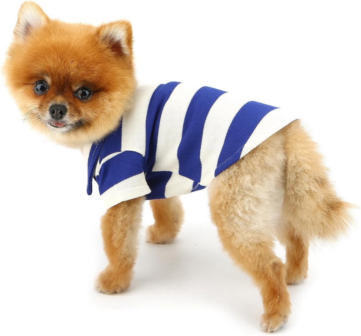 Hondenpoloshirt met wafelpatroon, geschikt voor kleine en middelgrote honden, gestreepte trui voor huisdieren, lente- en zomersweater met ademende puppy, Chihuahua Yorkie (M (borst 37 cm)) — cadeau in Cadeau-ideeën - foto 5