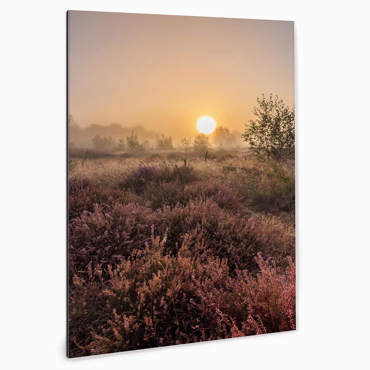 XXL Direct Fotoprint op aluminium - Zonsopgang Wekeromse Zand - 90x60 | Superhoge printkwaliteit afdruk | Extra stevig 4 mm Alupanel-Blauwbond | Voorzien van een matte afwerking | Inclusief UV-coating | Geschikt voor binnen én buiten Meerkleurig