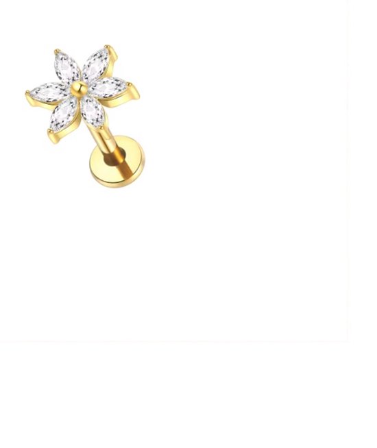 Piercing d'oreille - Couleur : Or - Dimensions : 12 x 6 MM - Titane - Tragus / Cartilage / Helix / Conque - Piercing d'oreille - Bijoux de piercing - Haute qualité - Piercing Labret - Bijoux de Luxe - Boucles d'oreilles