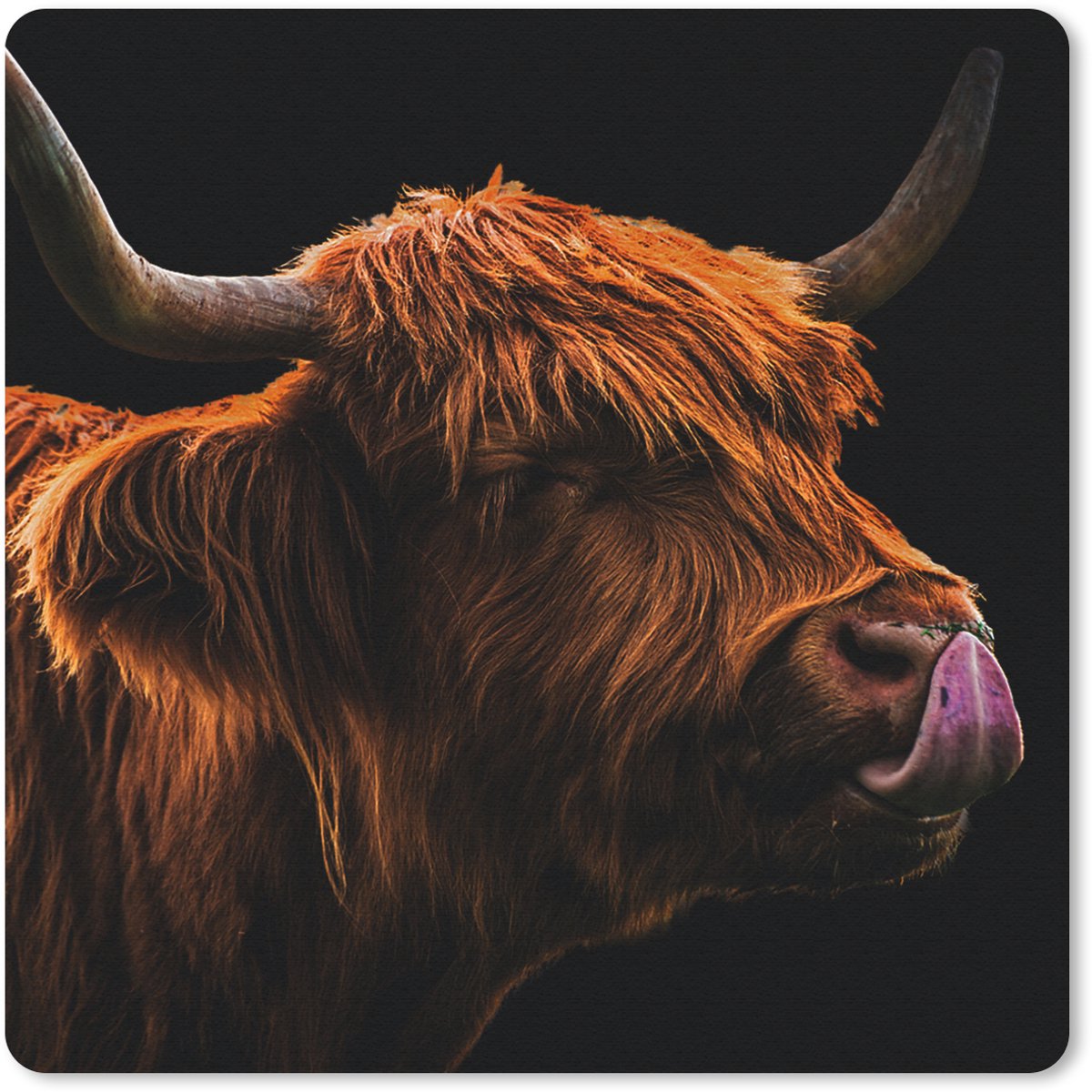 Muismat 30x30 cm - Mousepad Schotse Hooglander - Tong - Neus - Muismatten