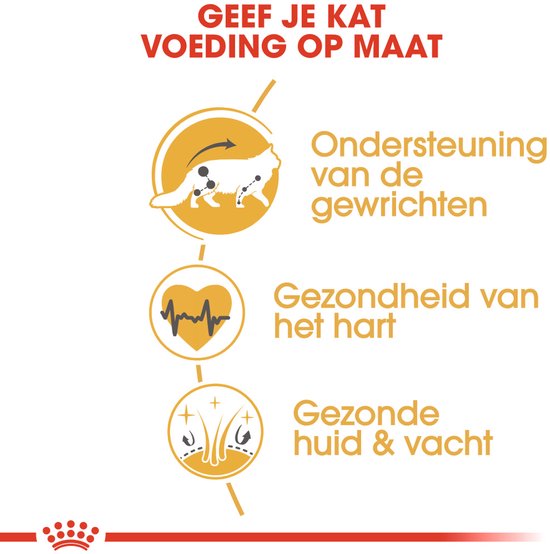 Illustraties van gezondheidsvoordelen van Royal Canin kattenvoer: gewrichten, hart en huid.