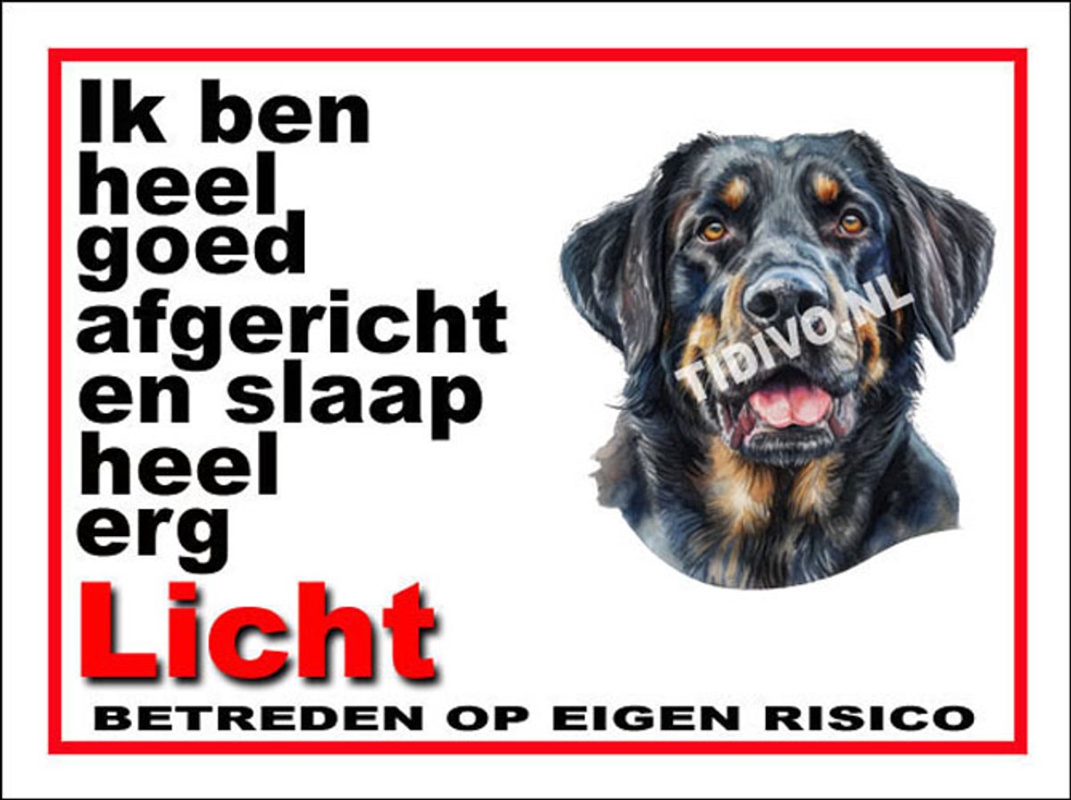 Münsterländer 4