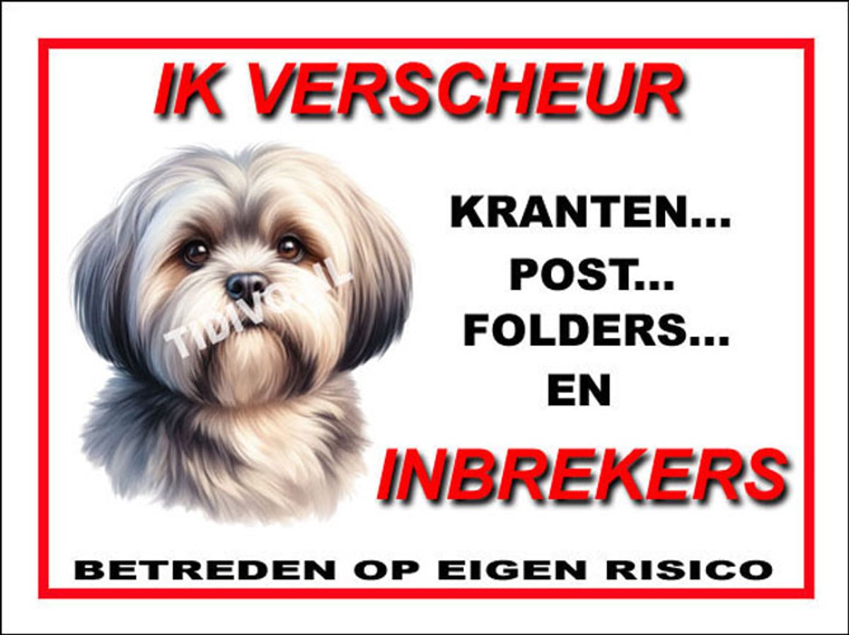 Lhasa Apso 8