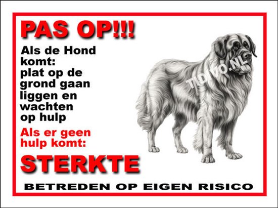 Leonberger 12