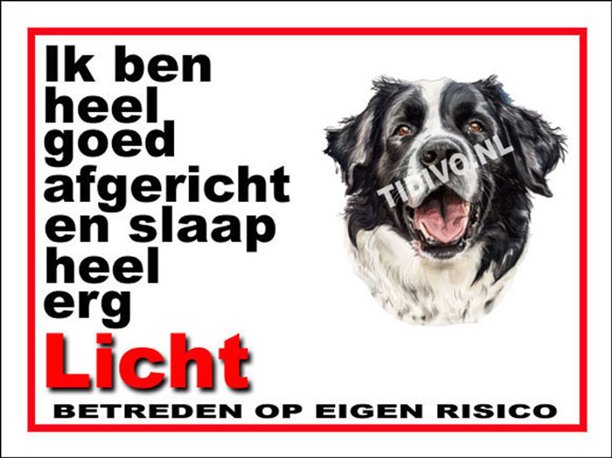 Landseer ECT 4