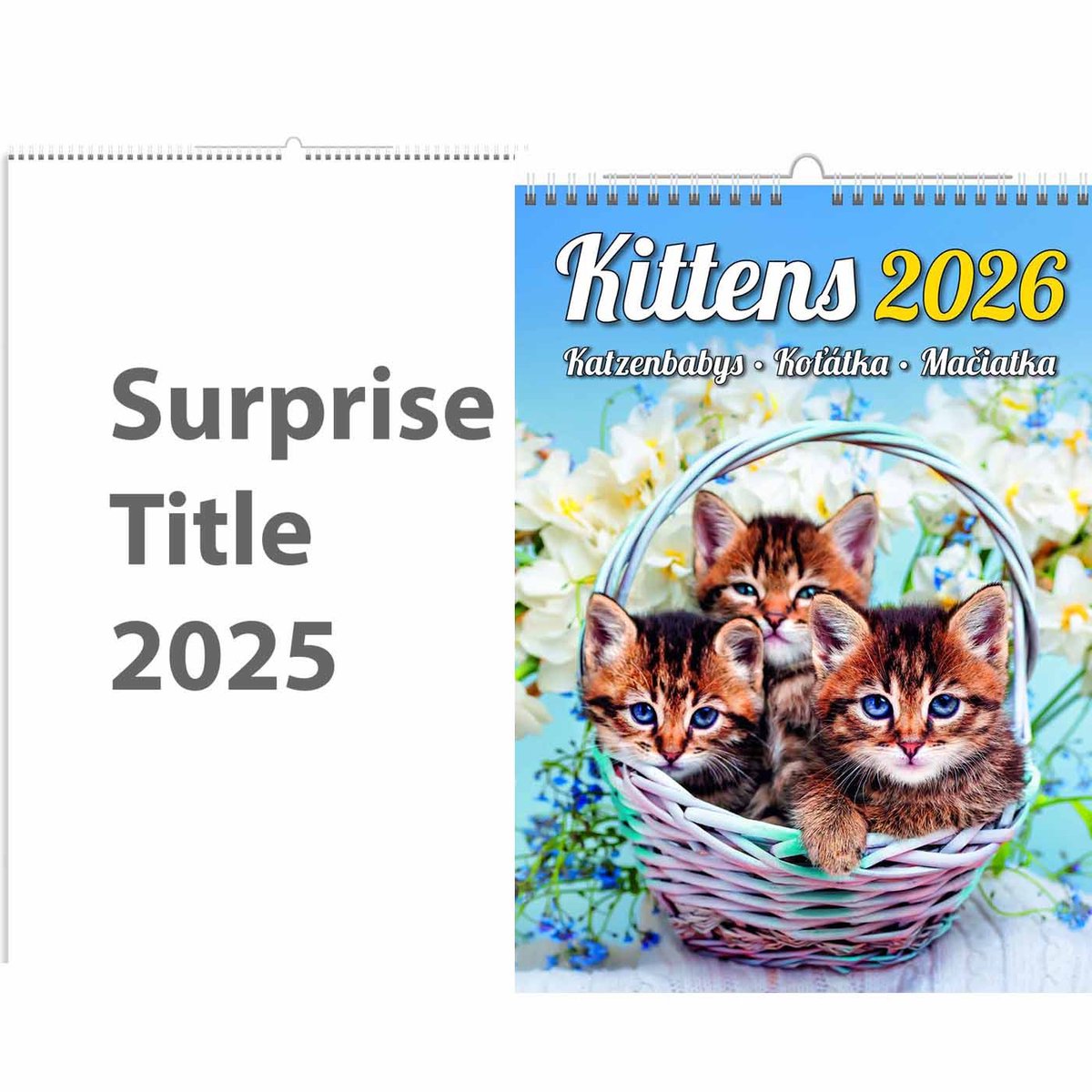 Schattige Katjes Kalender A3+ 2026+