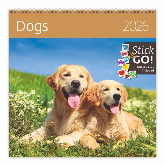 3D Bureaukalender,2026 Papieren Beeldhouwkalender | Kunst Honden