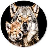 Intieme wolf en pup portret - Wolf wandcirkel - Wandpaneel welpen - Hyperrealisme - Wandcirkel van Forex - Wooninrichting met schilderijen - muurcirkel forex 40x40 cm