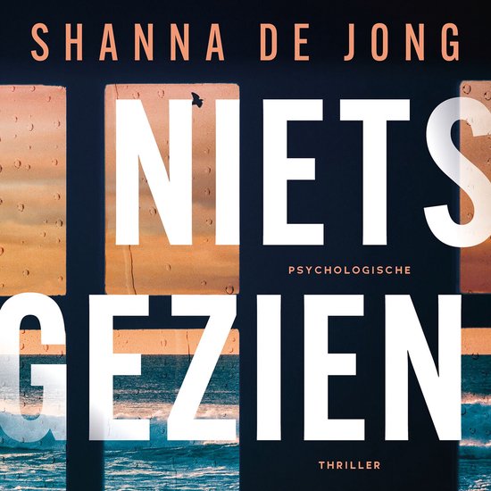 Niets gezien - cover