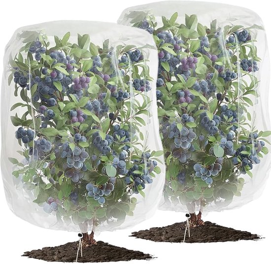 Slakken oorlog. Wat doe je tegen slakken in je moestuin