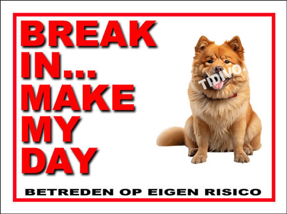 Chow Chow 1