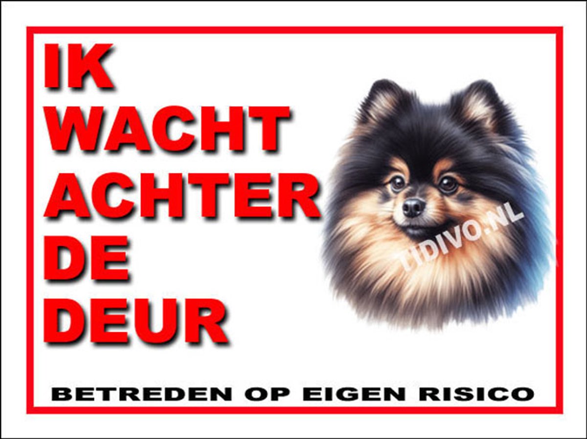 Dwergkeeshond 10