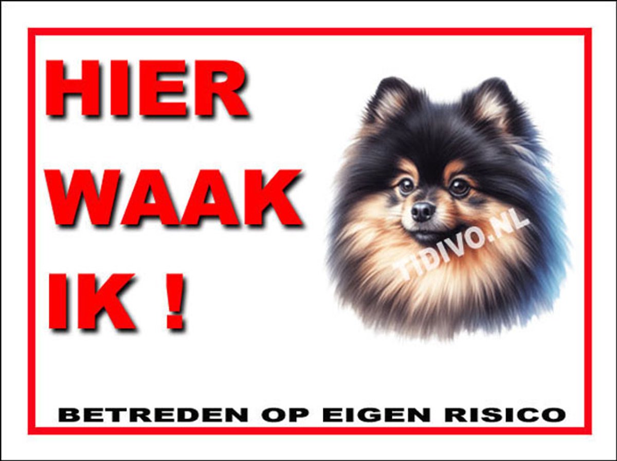 Dwergkeeshond 3