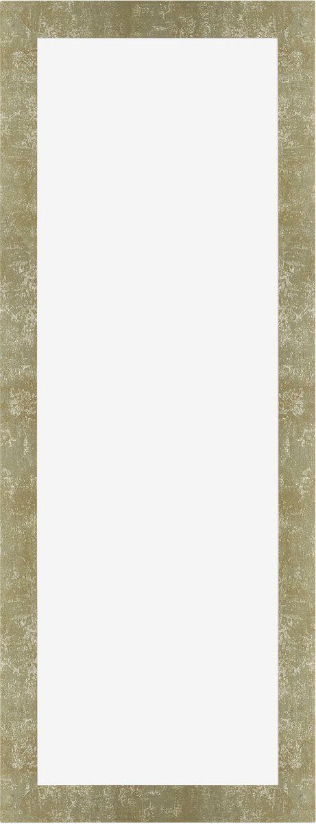 Dutch Frame Factory Fotolijst 20x60 cm - MDF - Goud Antiek - Marseille