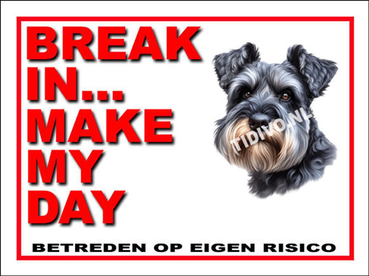 Cesky Terrier 1