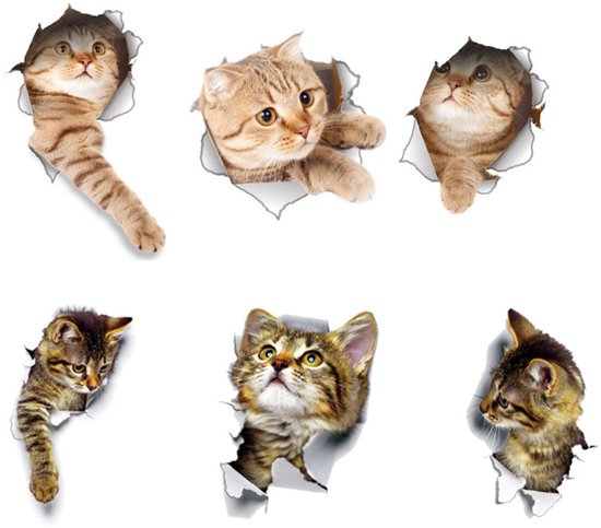 Zes 3D-kattenstickers met katten die door wit materiaal breken.