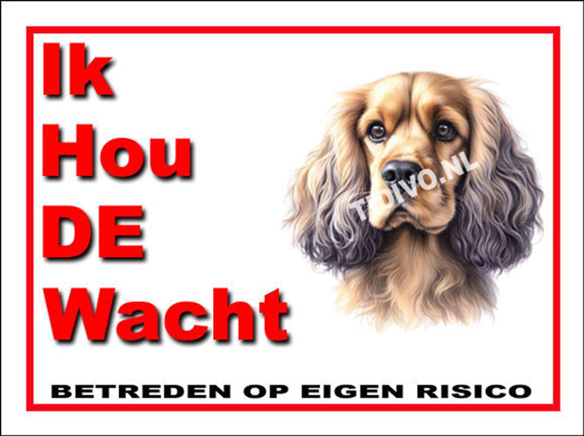Cocker Spaniel 7