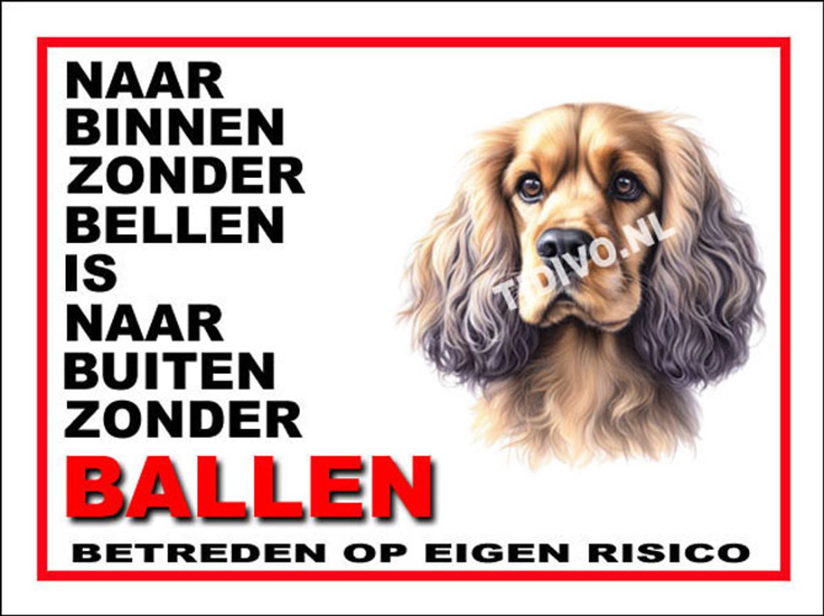 Cocker Spaniel 11