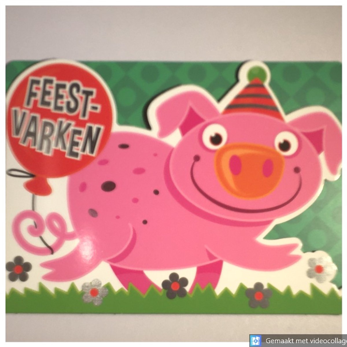 3 Luxe Wenskaarten Verjaardag - Feestvarken - Jarig Wens Kaart - 1 Motief - Think Shape - Touche Cards - Met Envelop - 18x13cm - Varken - Gebrurtstag - Birthday - Anniversaire