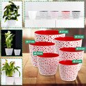 Collage van bloempotten met rode stippen in verschillende maten, met planten en afmetingen.