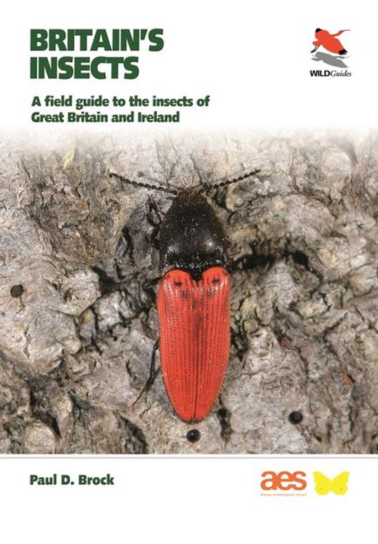 WILDGuides of Britain & Europe - Britain's Insects - cover