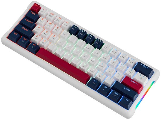 NAXSIR Hoogwaardig Mechanisch Toetsenbord - Bedraad 61 - Toetsen Compacte Opstelling met Vibrante RGB - Verlichting - Perfect voor Gamers en Productiviteit