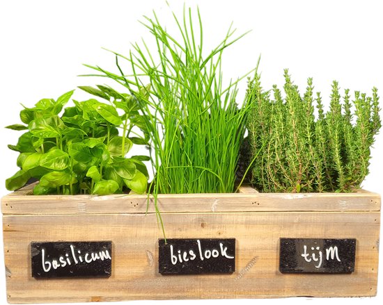 Jardinière en bois pour herbes aromatiques 44 x 16 x 13 cm - Jardinière à herbes aromatiques en bois avec 3 compartiments - Étagère à herbes aromatiques - Jardin d'herbes aromatiques